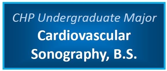 Cardiovascular Sonography Undergraduate Major